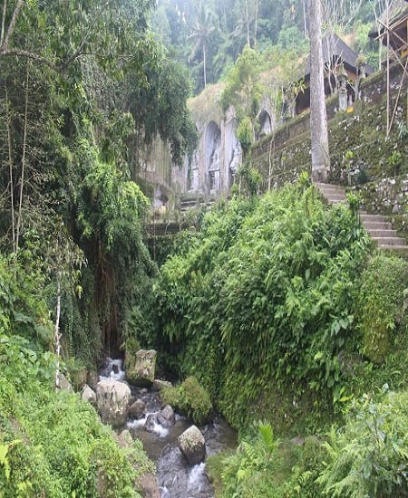 steps leading down into small creak surrounded by overgrown plants