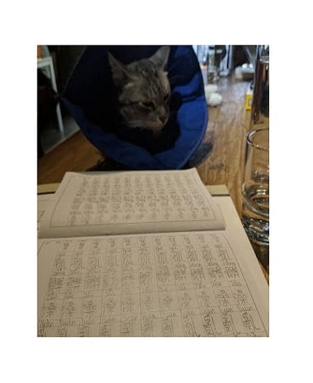 cat and chinese script book on the table next to a glass