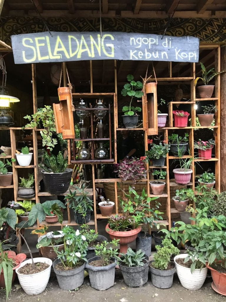 shelf with lots of plants and a sign in indonesian 