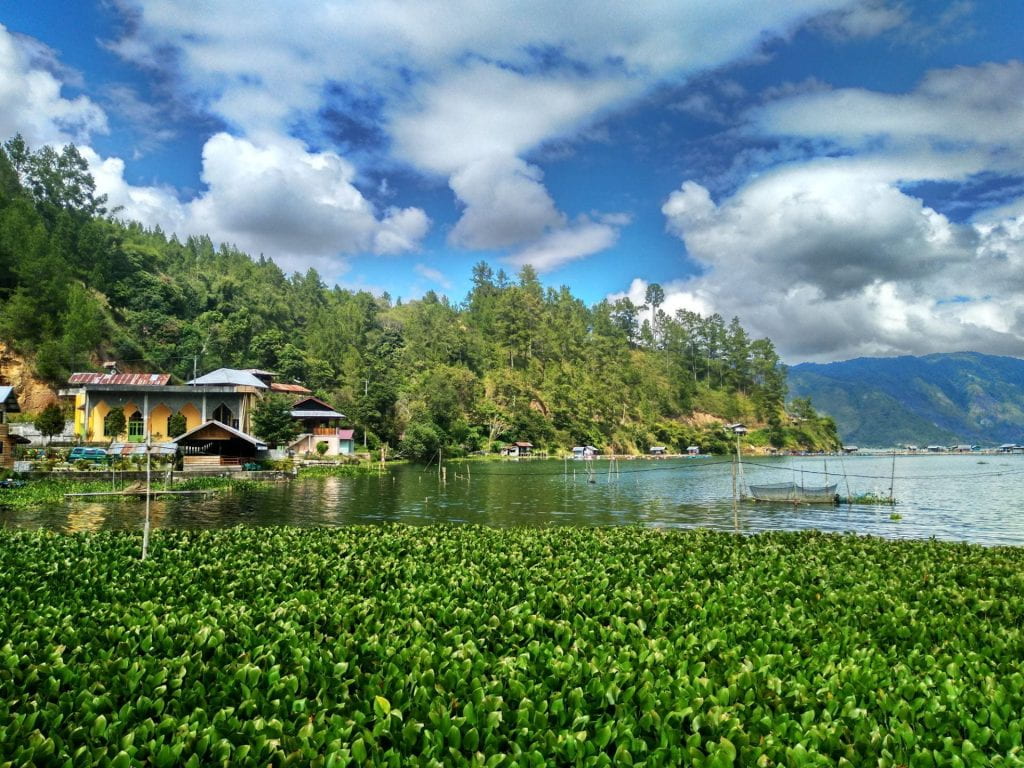 Indonesian village next to a river with natural greenery and scenery in the foreground and background with clouds in the blue sky
