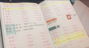 two-page spread in a notebook of color coded notes